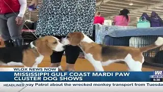 More than 2,300 dogs compete at Mississippi Gulf Coast Mardi Paw Cluster Dog Shows