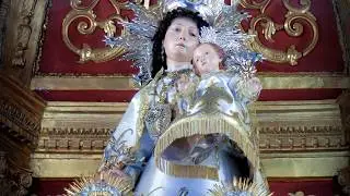 Mare i Patrona d'Albaida