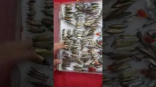 КОЛЛЕКЦИЯ ЗИМНИХ БЛЕСЕН ИЗ СССР #shorts