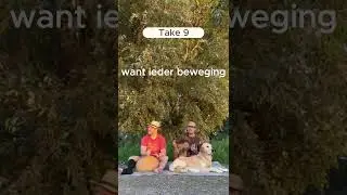 Ieder Beetje Refrein #reggae #muziek #dutchpop #nederlandsemuziek #muziek2023