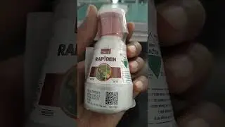 Agrostar: Rapigen (Chlorantraniliprole 18.5% sc)/ Insecticide