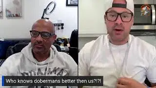 Doberman talk for the fans!