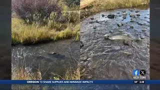 Salmon spotted in Klamath River after more than a century