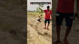 🎪Circus Audition Training🎪 #funny #shortvideo #jhula #training #dog #circus #trending #video #shorts