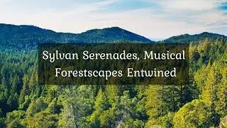 [] Sylvan Serenades, Musical Forestscapes Entwined &bull; 4k Video UltraHD
