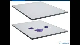PetroSkills: Reservoir Fluid Displacement Fundamentals - PetroAcademy eLearning