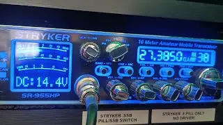 38 LSB is going crazy!