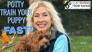 POTTY TRAIN PUPPY FAST - ESSENTIAL PUPPY TRAINING TRICKS