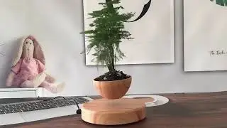 How is this floating?! 🤯 The Magic of PandaLane Levitating Pot