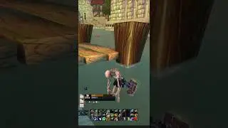 just a normal day in Stormwind #shorts #pvpwow #gaming #worldofwarcraft #wow #wowclassic