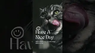 #english #haveagoodday #cats #niceday #motivation #thinking #niceday #motivational #mood #music
