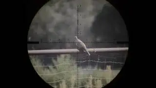 Daystate Heritage Redwolf 25cal ZAN Slugs