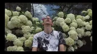 Purple Sun - Cloud Numb (Music Video)