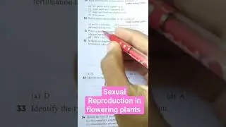 sexual Reproduction In Flowering Plants NCERT based MCQ #neet #mcq #ncert #biology #ncertmcq