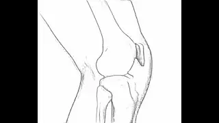 Knee tests part 2: Posterior Draw, Thessaly, Apley Stress, Lachmans tests