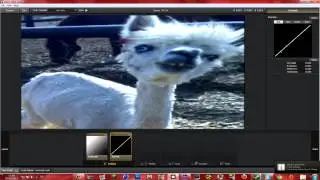 diNexTuts - Magic Bullet Looks :)