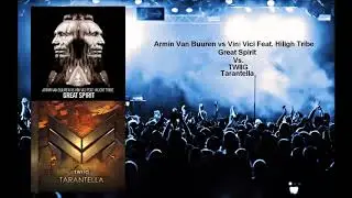 TWIIG Tarantella vs AVB vs Vini Vici Ft  Hilight Tribe Great Spirit Quentin M Mashup