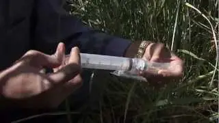 Nitrogen in Plant Atmospheric Systems - Developing a Sustainable Biomass Production System