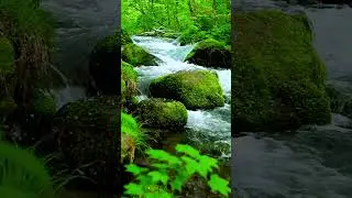 Nhạc Thiền Suối Rừng |Deep Sleep Meditation Music with Forest Stream & Ethnic Vietnamese Instruments
