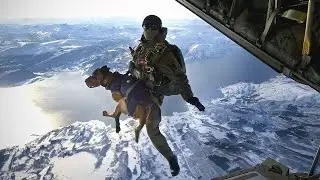 Meet the Military&rsquo;s Elite K9 Unit