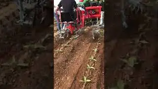 ROTOSARK WEEDING MACHINE: TOBACCO STRAWBERRY OR POTATO, SARCHIATRICE PER TABACCO FRAGOLA E PATATA