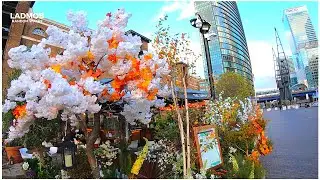 Canary wharf Crossrail Place Roof Garden | London Hidden Gems