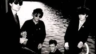 The Dogs - Secrets