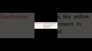 Dictionary of Xanthophyll