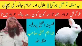 Khargosh Haraam Hai ? || Shaikh Ibrahim Bhatti Sahab