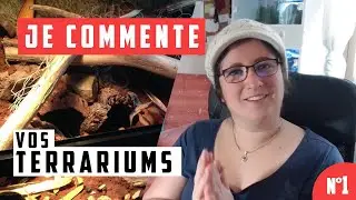 #1 LES TERRAS DES ABONNÉS - Mes petits commentaires