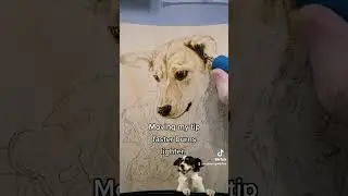 🔥 Darker Dog Fur & Pen control