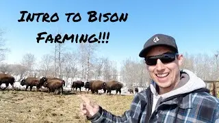 Copper Creek Ranch Intro to Youtube!!!!