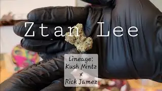 Ztan Lee (Tier 1+ THCa Flower) - Crysp - Extra gift added to order 😲😍🤯 - THCa Flower Review