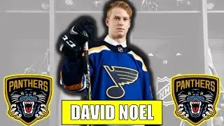 Nottingham Panthers Sign David No&euml;l