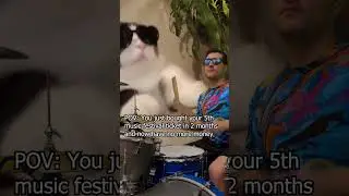 POV: You Just Spent All Of Your Money On Music Festival Tix #bassheads #basshead #catshorts