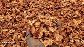 Small Fir Bark - LYNGSO