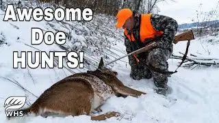 #1 Doe Hunting Strategy Hunts