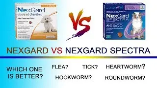 Nexgard vs Nexgard Spectra