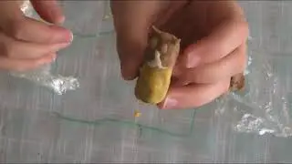 Salt Dough Mini Cat (Polymer Clay Alternative)