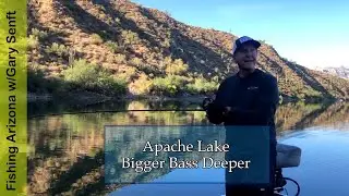 Apache Lake - Bigger Fish Deeper