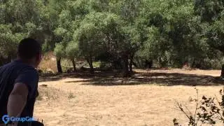 Quadcopter Crash Compilation