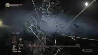 Wolnir SL1 NG+7 No Sprint/Roll/Block No Rings/Buffs/Aux Flawless