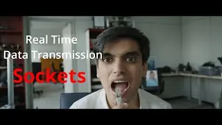 Real-Time Data Transmission with Sockets in Python (.py)