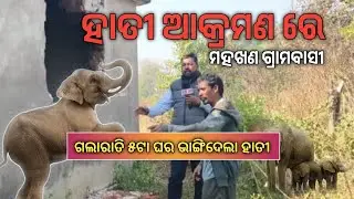 ତୁରେକେଲା ବ୍ଲକ ମହଖଣ୍ଡ ଗାଁ ଅଞ୍ଚଳ ରେ ଉତ୍ପାତ ମଚଉଚନ ହାତୀ ମାନେ, ଘର୍ ଦ୍ୱାର ଭାଙ୍ଗି ଦେଲେ, ସହାୟତା ରାଶି ଦାବୀ