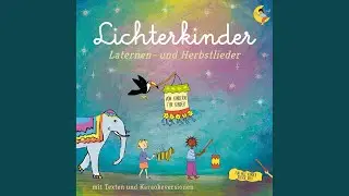 Mein Drachen im Wind