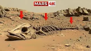 NASA Mars Rover Captured Most Incredible 360&deg; Footage of Mars In 4K | Perseverance Rover SOL 1549