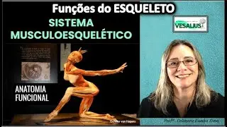 Quais as funções do esqueleto? - II Jornada de Anatomia - IFMSA Med USCS - Parte 1 - Prof. Celimara