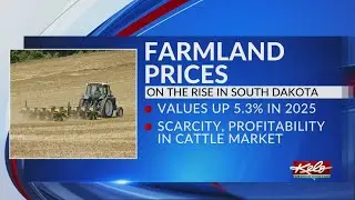 Rising beef prices boost South Dakota Ag land prices