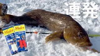 【アイナメ連発】ブラーを落としたらあたりが止まらなくなりました