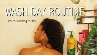Wash Day Routine! How I Co-Wash My Natural Hair